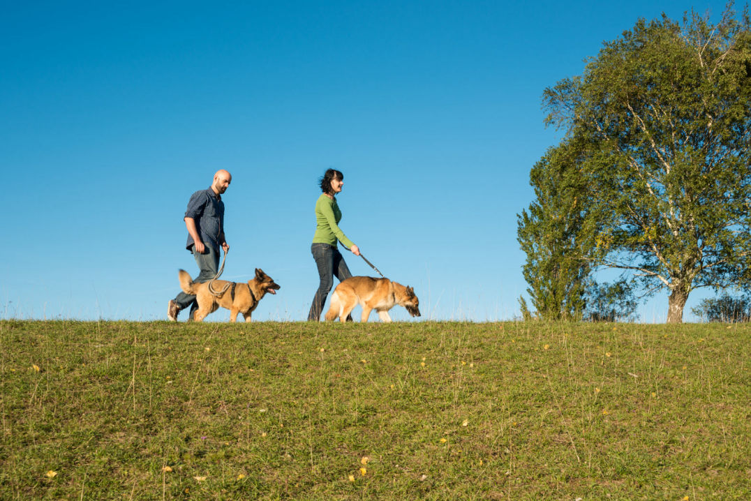 Foto: zwei Personen mit Hunden auf einem Spazierweg im Wald